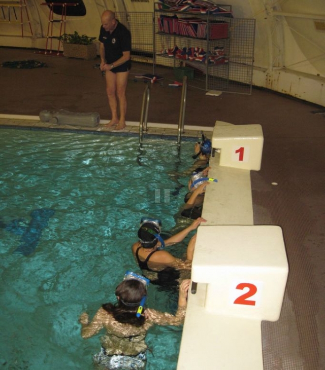 Randonnee Palmee en piscine.jpg